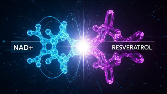 NAD+ y Resveratrol: la combinación antiedad que potencia la energía celular y el bienestar general
